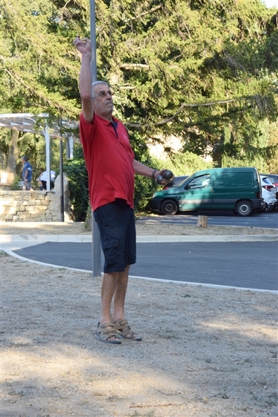 1 (81)