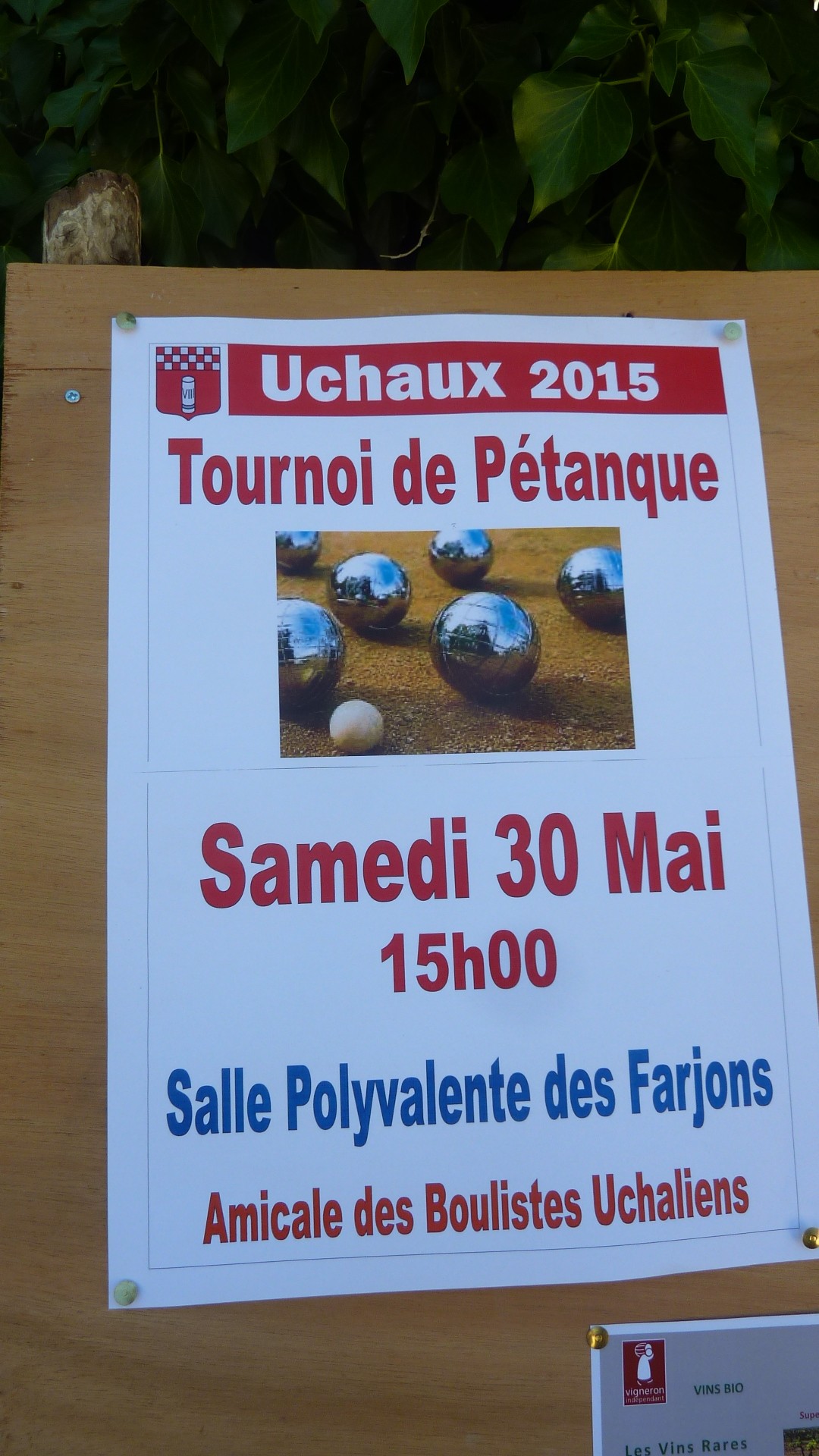 Petanque 2015 033