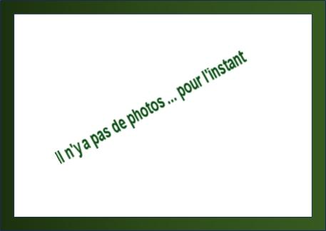 Pas de photos